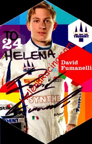 FUMANELLI David 2014.jpg