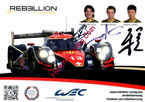 Card 2013 WEC-LMP1 (S)-.jpg
