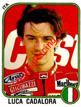 1987 Panini.jpg