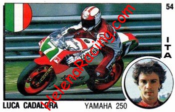 1988 Panini.JPG