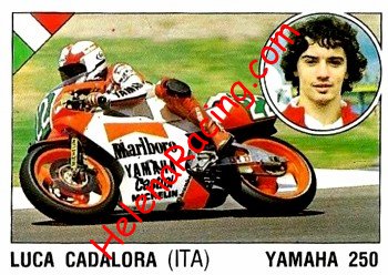 1989 Panini.JPG