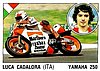 1989 Panini.JPG