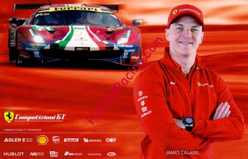 Card 2019 WEC-GTE (NS).jpg
