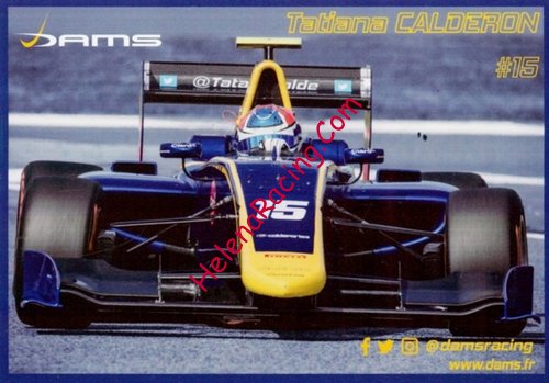 Card 2017 FIA-GP3 Recto (NS).jpg