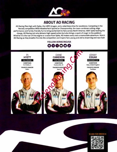 Card 2025 Sebring 12 h Verso (NS).jpg