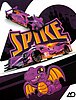 Card 2025 Daytona 24 h Recto (NS).jpg