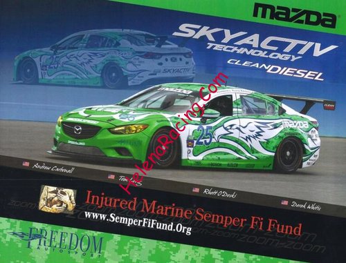 Card 2013 Daytona 24 hours (NS).jpg