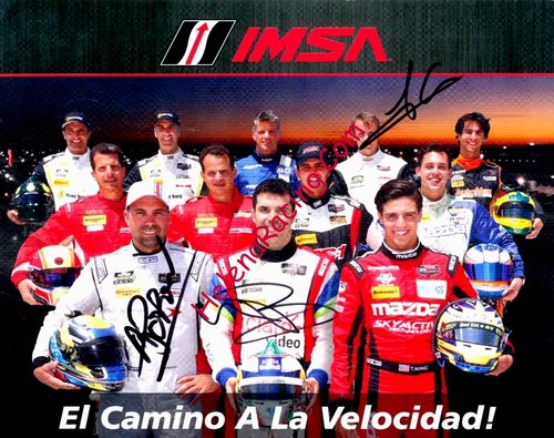 Card 2015 IMSA-SCC GT (NS).jpg