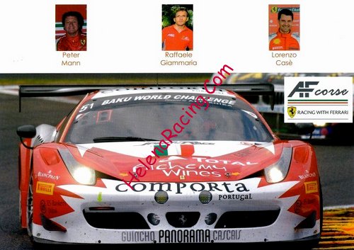 Card 2014 ELMS-GTE (NS).jpg