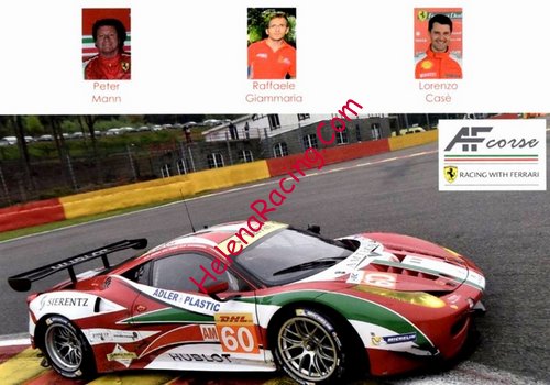 Card 2014 WEC-GTE Am (NS).jpg