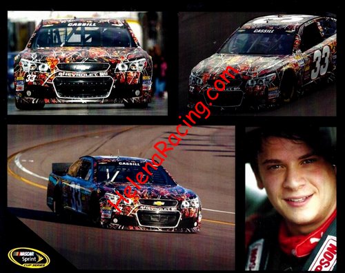 Card 2013 Sprint Cup (NS).jpg