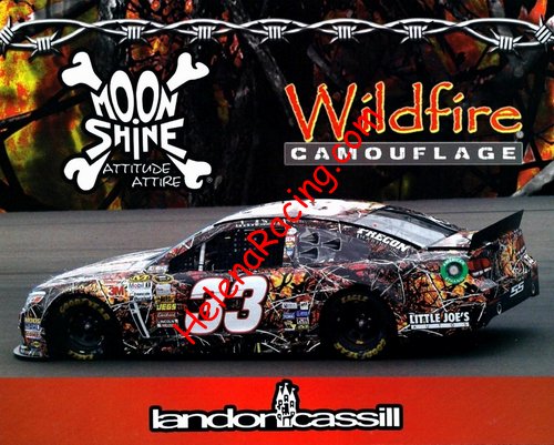 Card 2013 Sprint Cup-Wildfire (NS).jpg