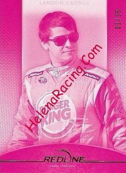2012 Red Line-Pink.jpg