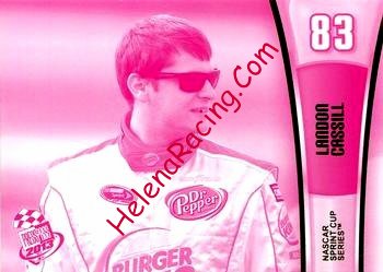 2013 Pass-Pink.jpg