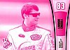 2013 Pass-Pink.jpg