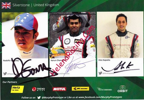 Card 2014 ELMS-LMP2-Silverstone Verso (S).JPG