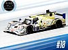 Card 2021 Daytona 24 h Recto (NS).jpg