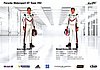 Card 2017 WEC-GTE Verso (NS).jpg