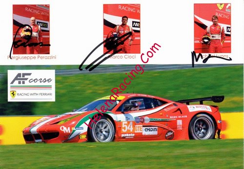 Card 2014 ELMS-GTE-3 (S).jpg