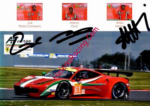 Card 2014 WEC-GTE (S).jpg