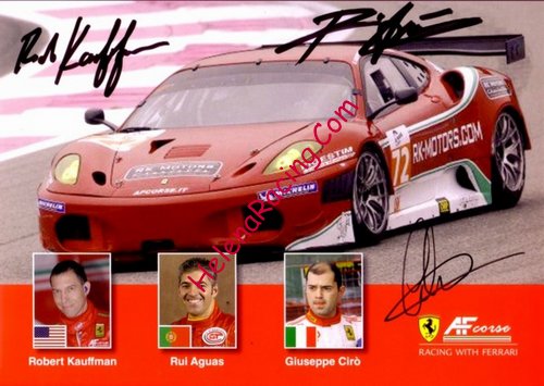 Card 2011 ELMS-GTE (S)-.jpg