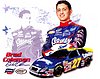 Card 2008 Nationwide-Kleenex (P).jpg