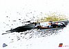 Card 2016 ELMS-LMP2 Recto (NS).jpg