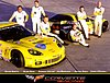 Card 2010 ALMS-GT (NS).jpg
