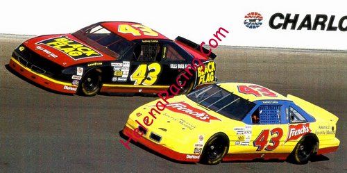 Card 1994 Busch Series (NS).jpg