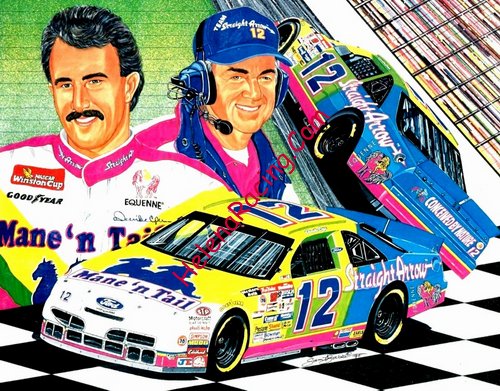 Card 1995 Winston Cup-Allison  (NS).JPG