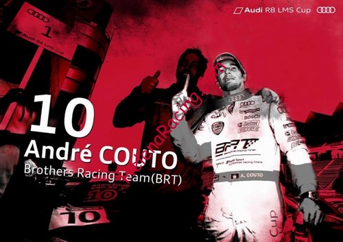 Card 2015 Audi R8 LMS Cup (NS).jpg