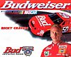 Card 1998 Winston Cup-Bud (NS).JPG