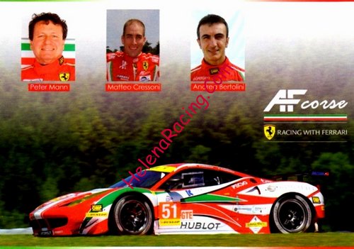 Card 2015 ELMS-GTE-2 (NS).jpg