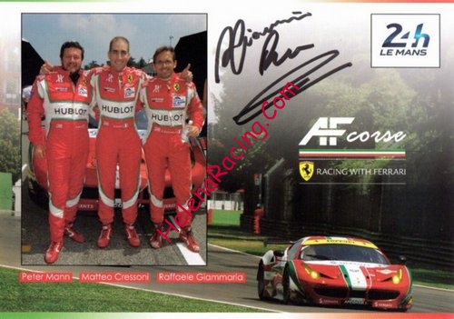 Card 2015 Le Mans 24 h (S).jpg
