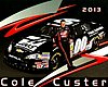 Card 2013 K&N Pro (NS).jpg