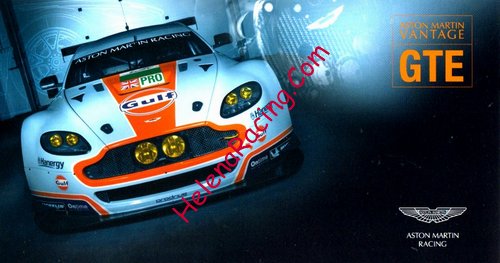 Card 2015 WEC-GTE (NS).jpg