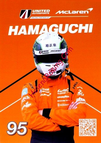 Card 2024 Le Mans 24 h Verso (NS).jpg