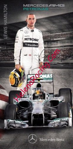 Card 2013 Formula 1 (P)-.jpg