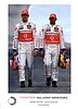 Card 2010 Formula 1-Button (NS).jpg