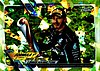 2021 Chrome-171-Chartreuse.jpg
