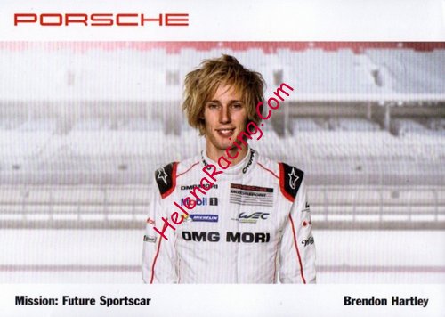 Card 2015 WEC-LMP1 (NS).jpg