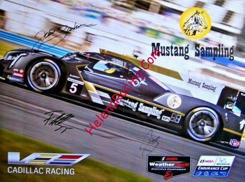 Card 2019 Sebring 12 h (S).jpg
