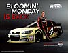 Card 2015 Sprint Cup-Outback (NS).jpg