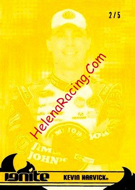 2013 Ignite-1-Yellow.JPG