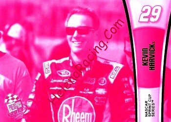 2013 Pass-1-Pink.JPG