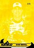 2013 Ignite-1-Yellow.JPG