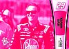 2013 Pass-1-Pink.JPG
