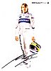Card 2006 Formula 1 (P).jpg