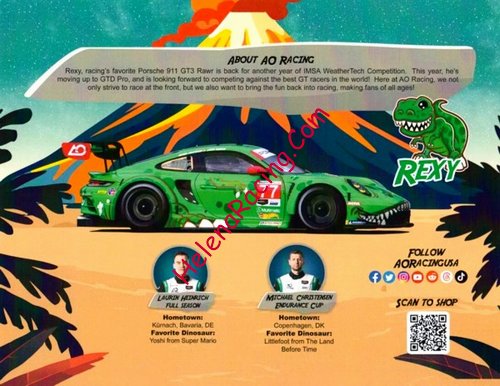 Card 2024 IMSA-GTD Verso (NS).jpg
