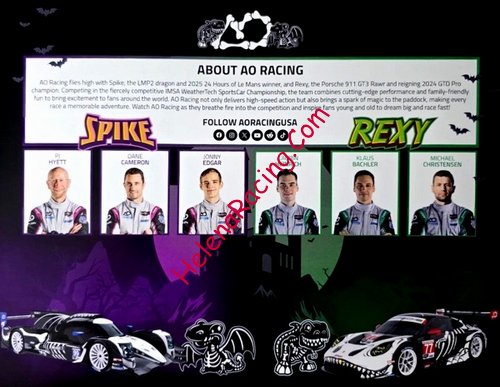 Card 2025 Petit Le Mans Verso (NS).jpg